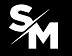 Saleh Mohammad Logo